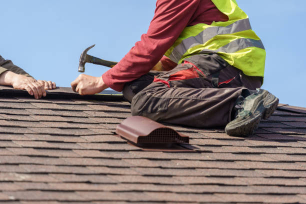Best Metal Roofing Contractor  in Bushland, TX
