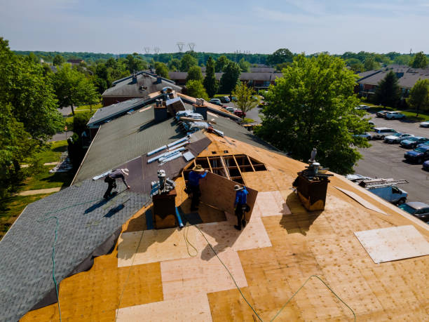 Quick and Trustworthy Emergency Roof Repair Services in Bushland, TX