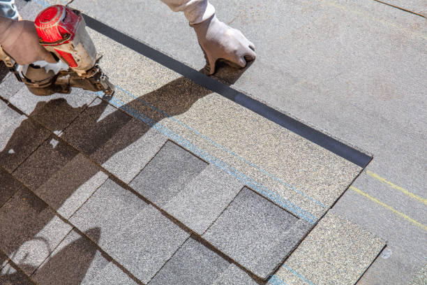 Best Local Roofing Companies  in Bushland, TX