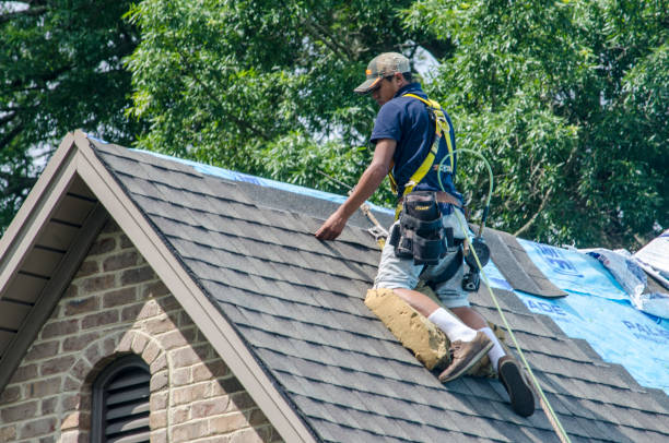 Best Flat Roof Repair Services  in Bushland, TX